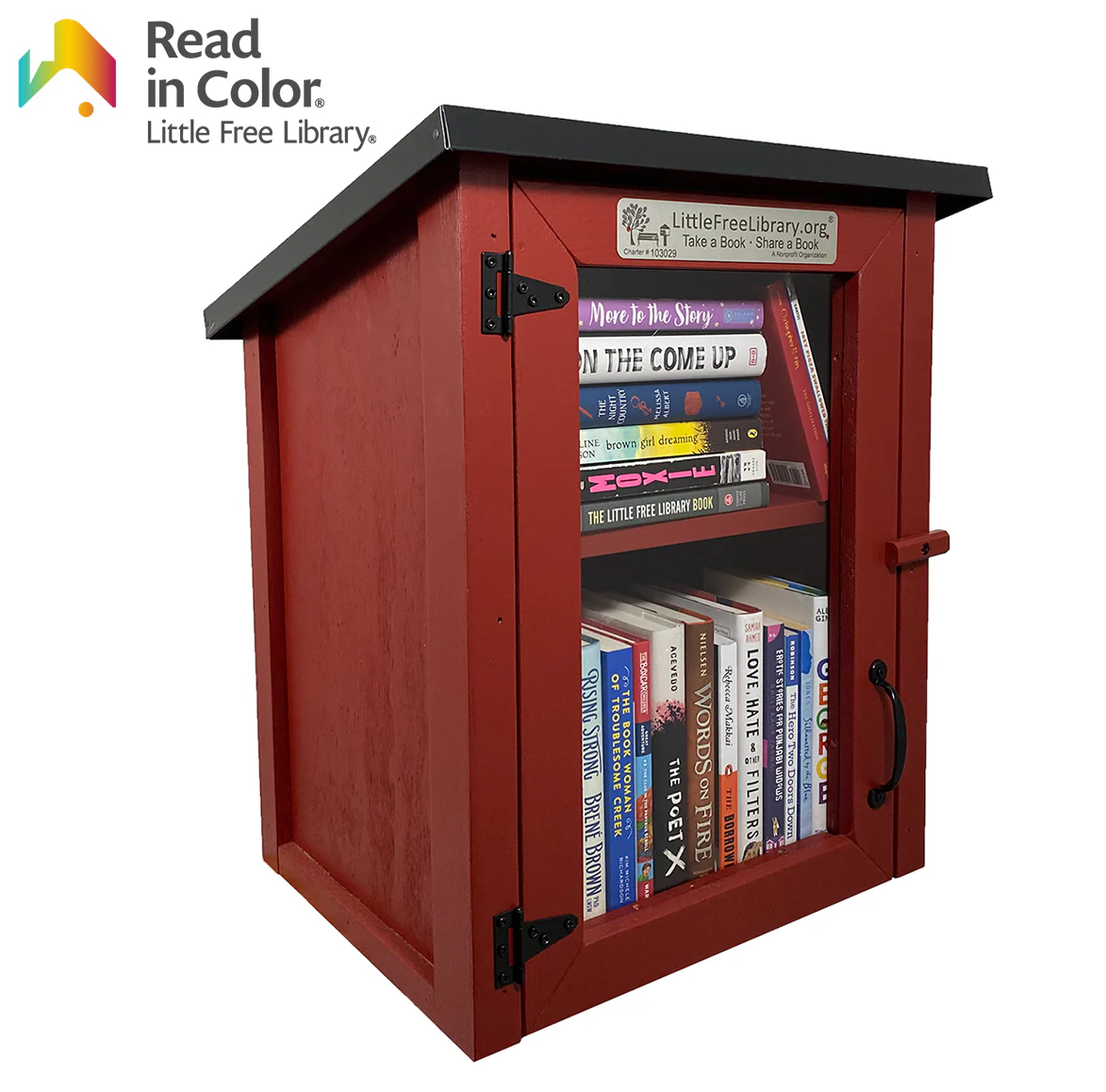 Read In Color Little Free Library Bundle